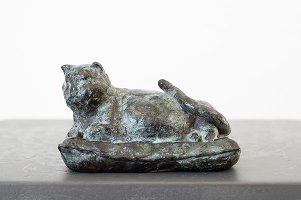 dikke_kat_sam
