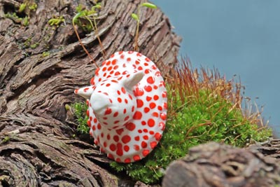 Broche B002